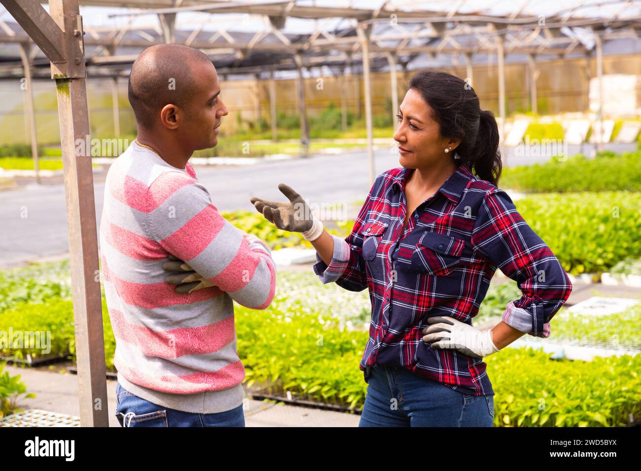 Two latino garden workers discussing working process Stock Photo