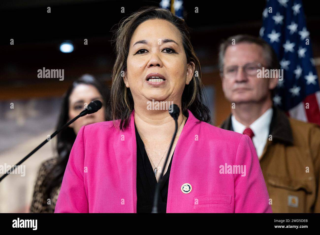Washington, United States. 18th Jan, 2024. U.S. Representative Jill