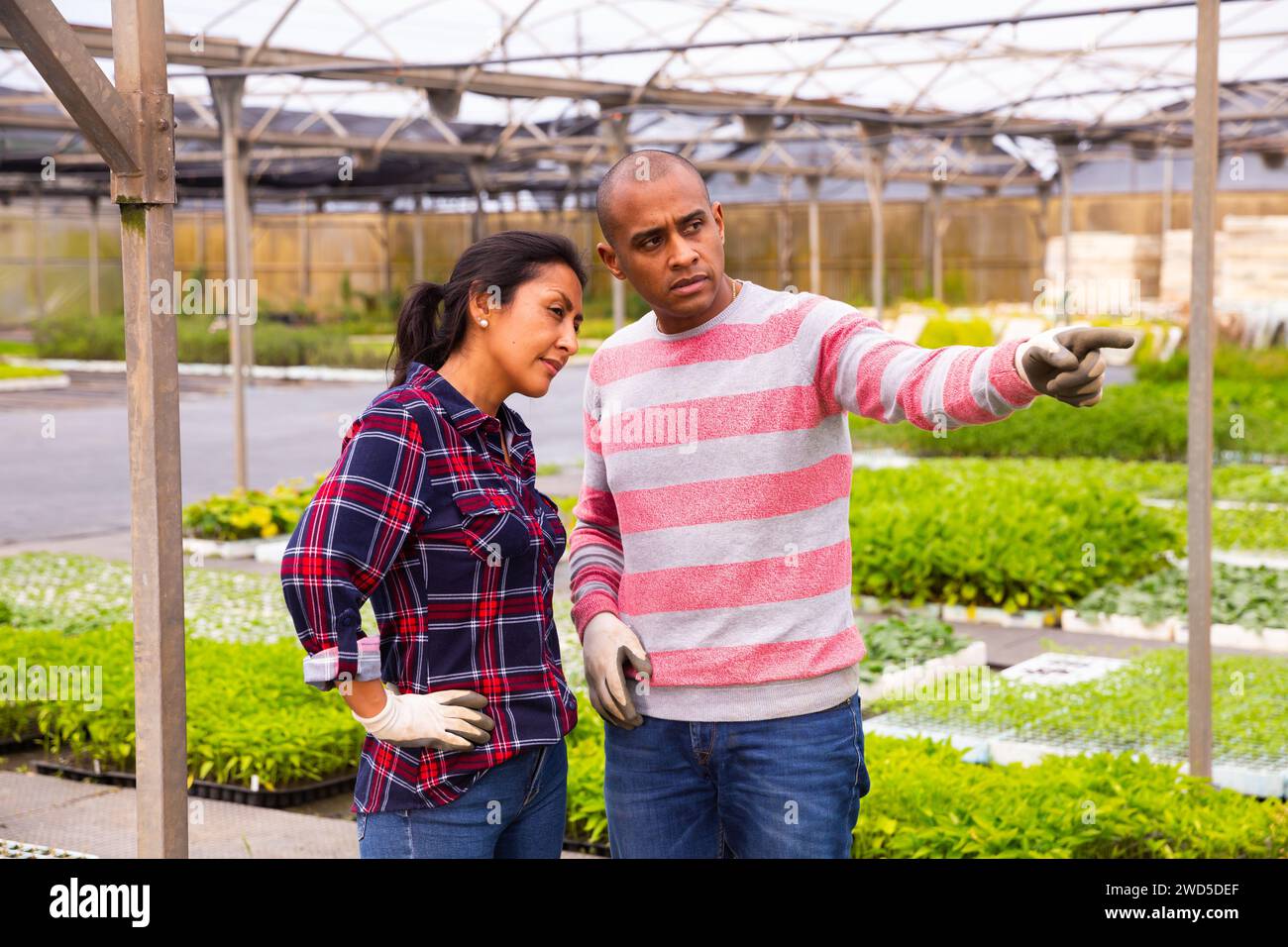 Two latino garden workers discussing working process Stock Photo