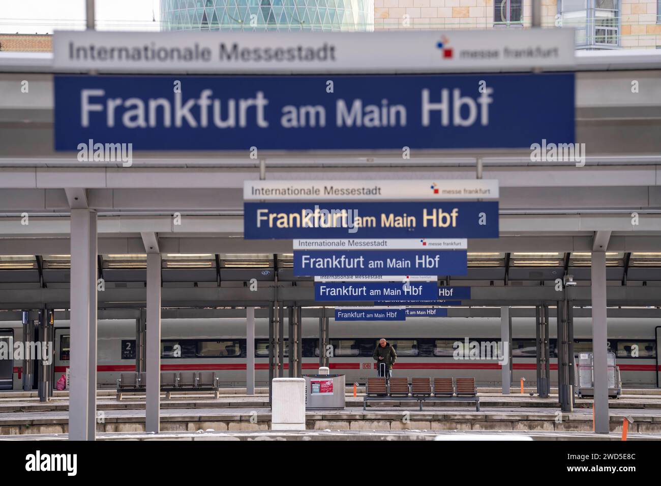 Hauptbahnhof Frankfurt am Main, Gleise, Bahnsteige, Züge, Hessen, Deutschland, HBF Frankfurt