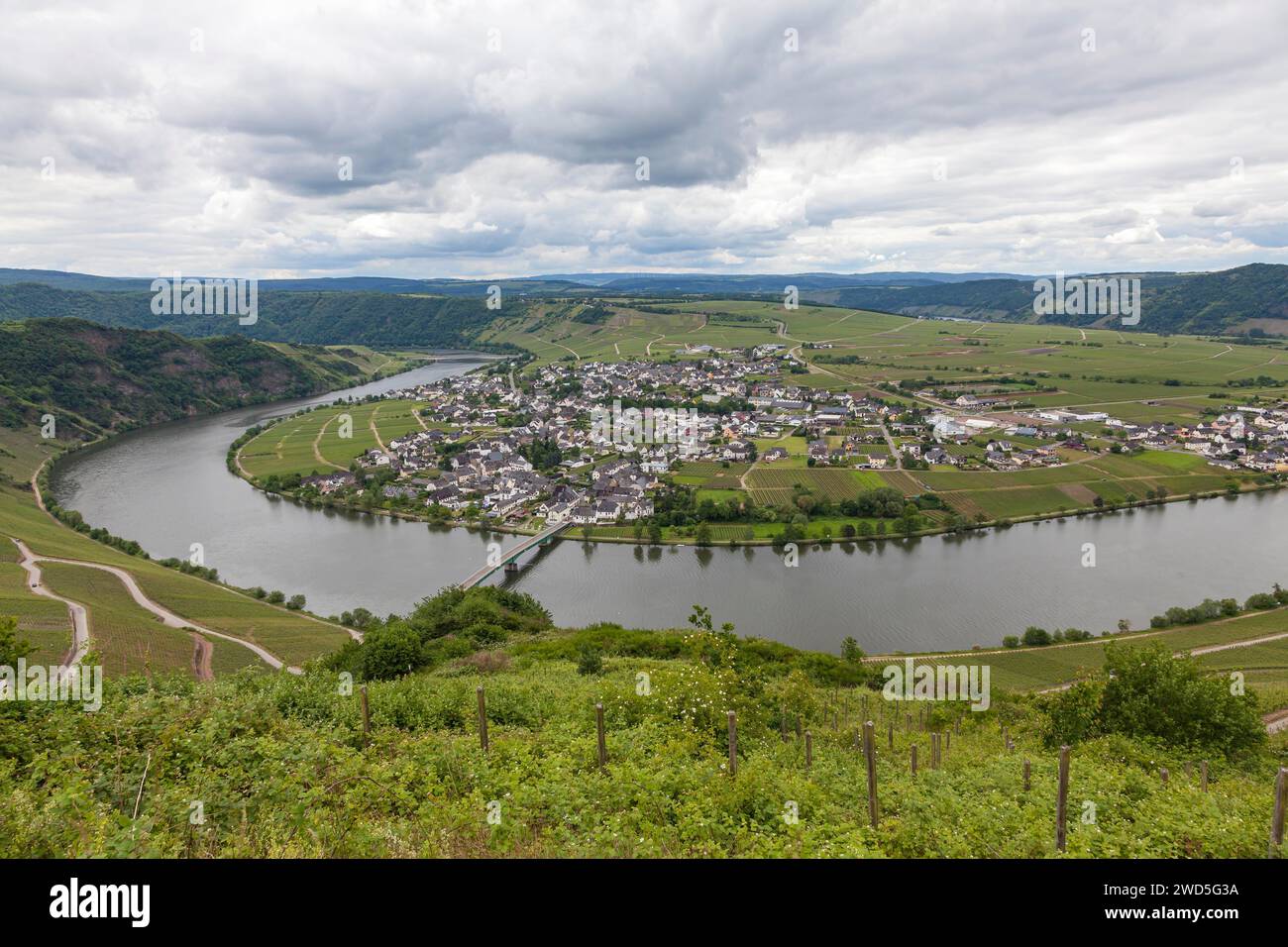 View of the Moselle bend near Piesport, Moselle, Bernkastel-Wittlich district, Rhineland-Palatinate, Germany Stock Photo