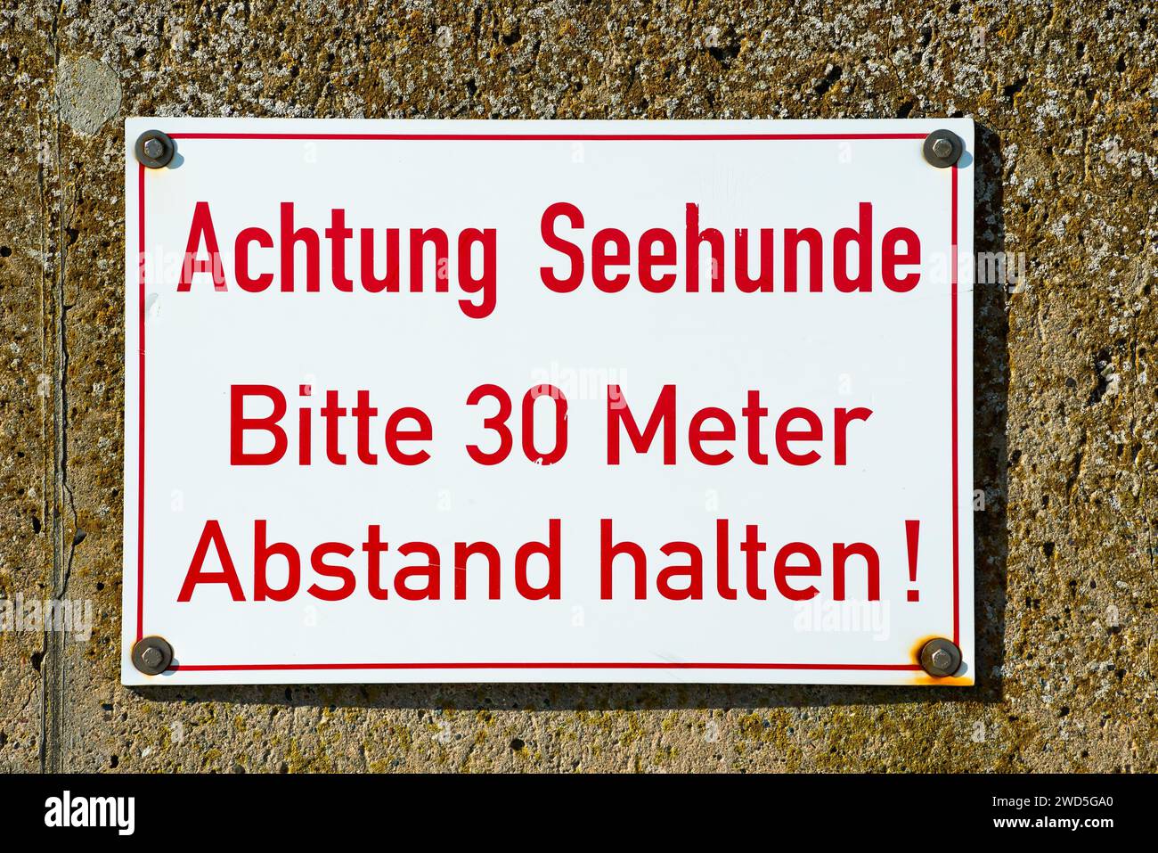 Sign with the inscription 'Achtung Seehunde Bitte 30 Meter Abstand halten!', red and white warning sign Insel Duene, Helgoland, Schleswig-Holstein Stock Photo
