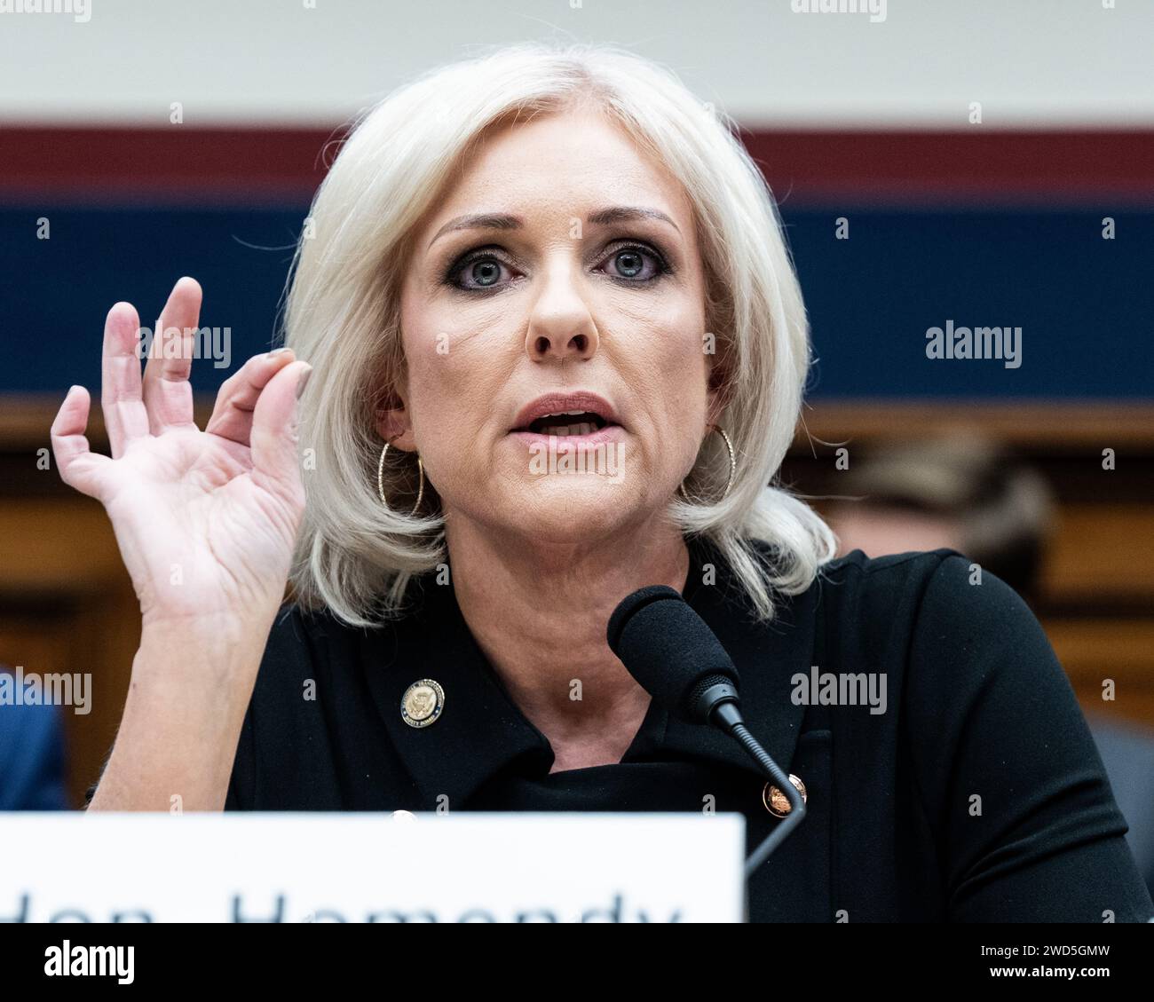 Washington, United States. 18th Jan, 2024. Jennifer Homendy, Chair