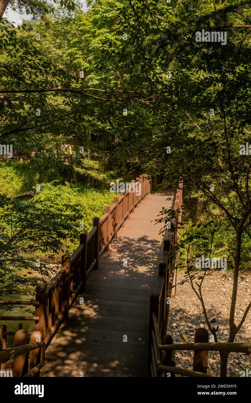 Wooden footbridge over shallow hi-res stock photography and images - Alamy