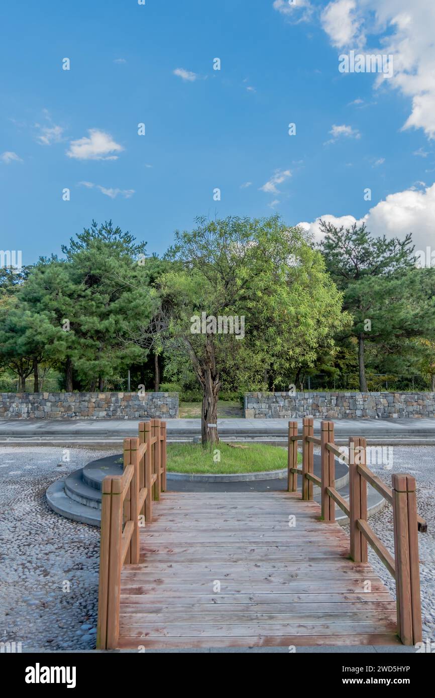 Tree in circular piece of ground at end of wooden bridge over dry fountain with forest in background, South Korea Stock Photo