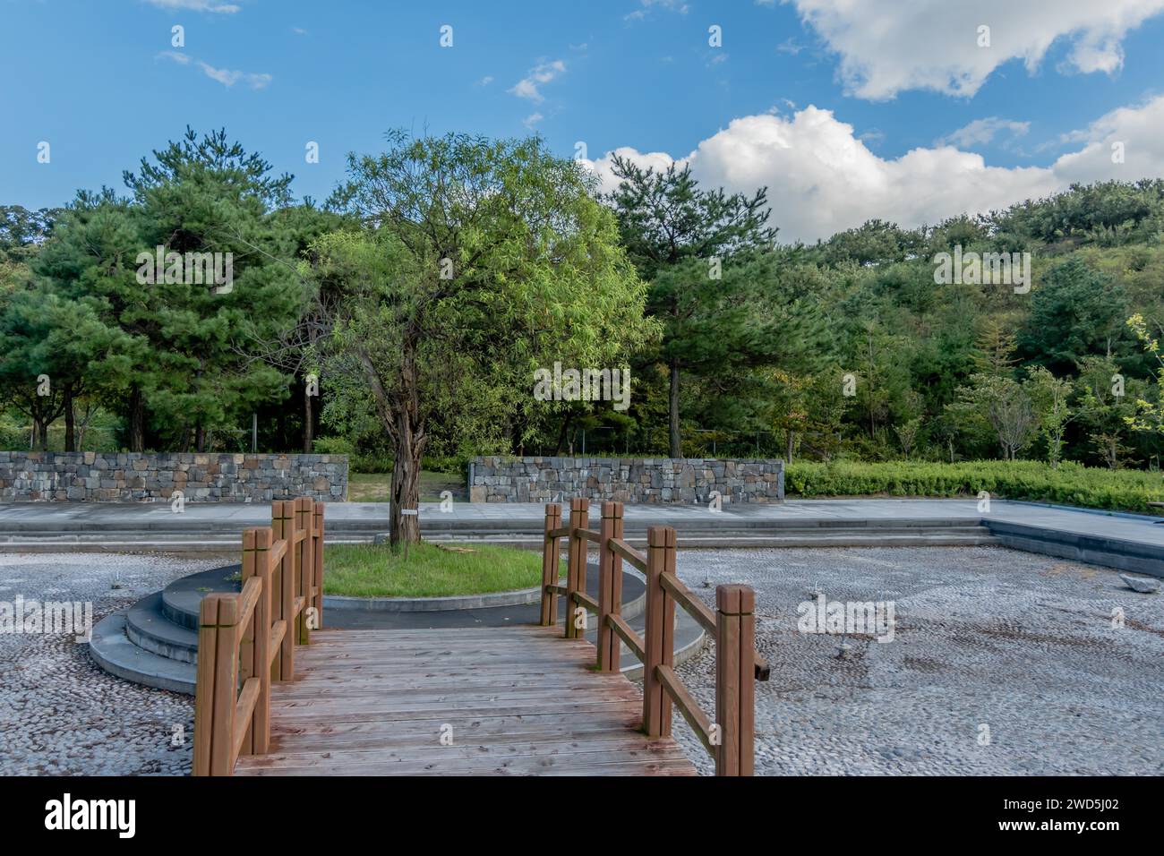 Tree in circular piece of ground at end of wooden bridge over dry fountain with forest in background, South Korea Stock Photo