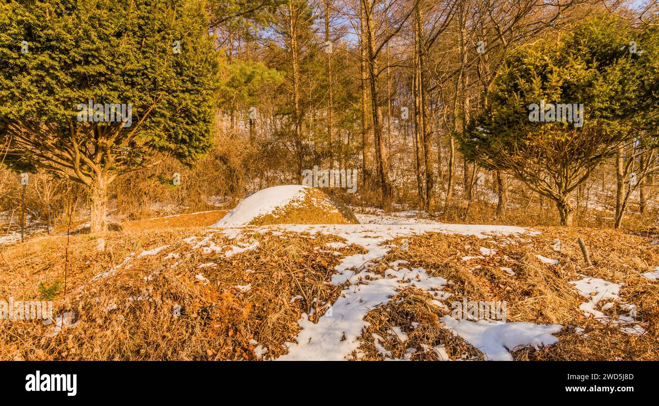 Winter landscape of unmarked burial mound covered with snow in woodland