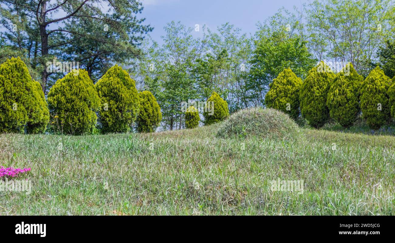 Closeup of burial mound with small evergreen trees in background under