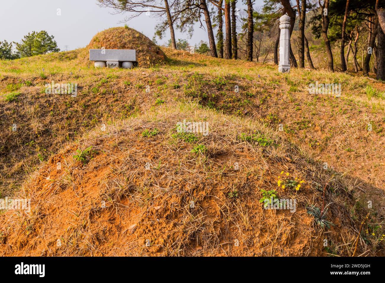 Close up of unmarked burial mounds in early evening on spring day, South Korea, South Korea Stock Photo