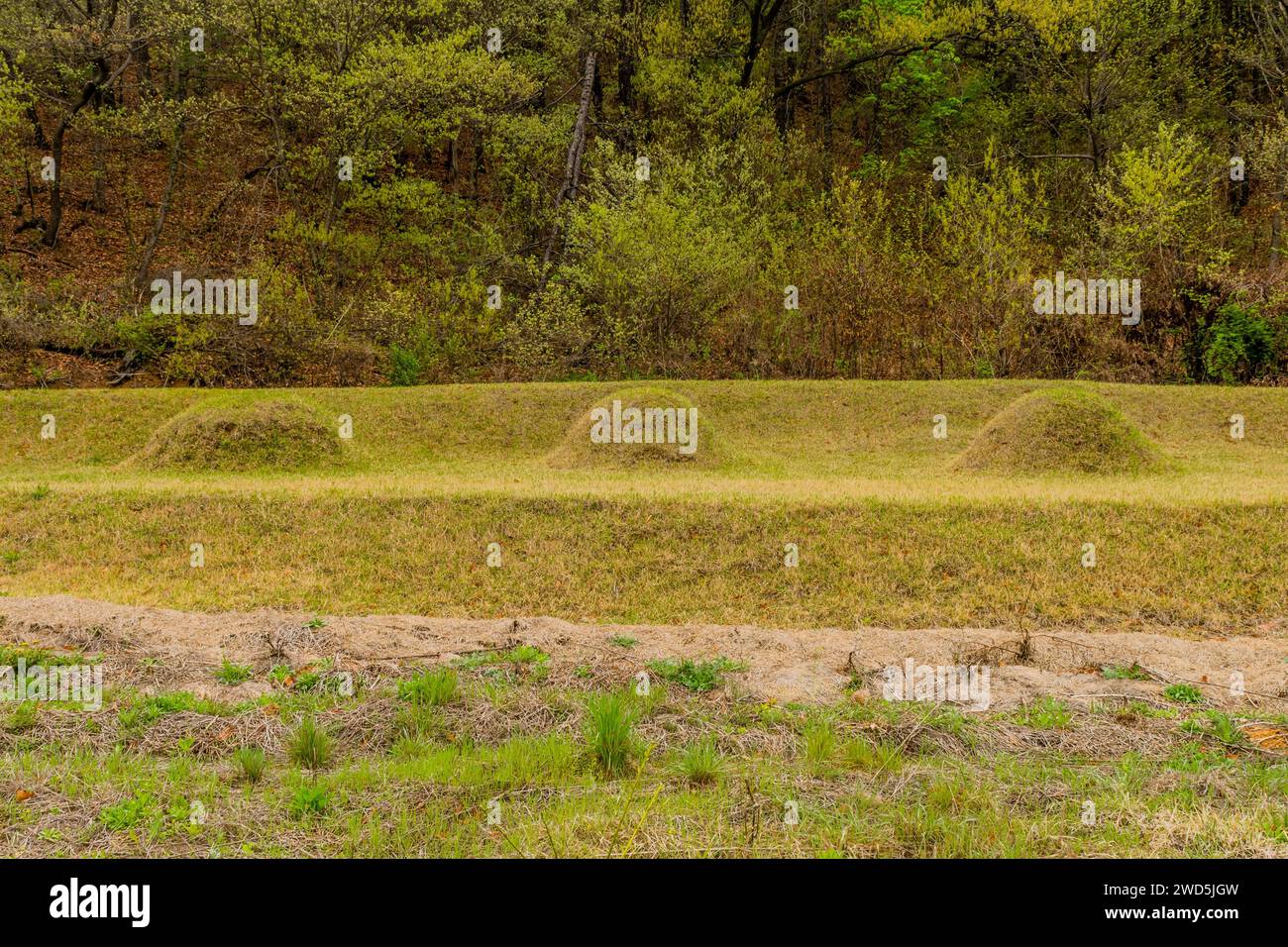 Three unmarked burial mounds at foot of tree covered mountainside
