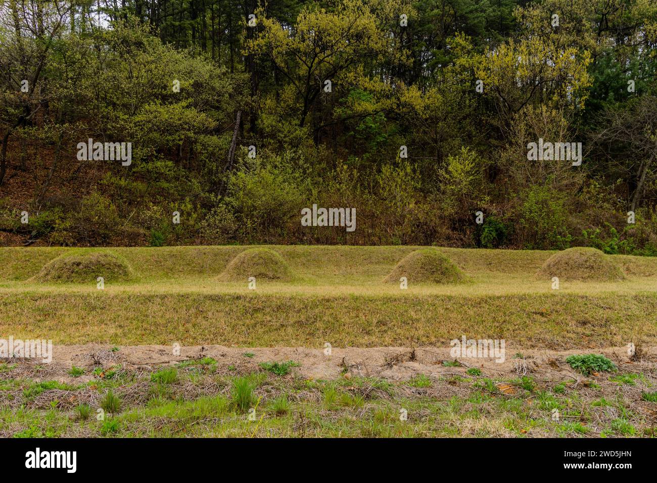 Four unmarked burial mounds at foot of tree covered mountainside, South