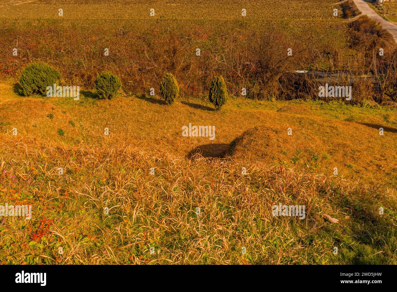 Closeup looking down on top of two unmarked burial mounds in small hillside graveyard, South Korea, South Korea Stock Photo