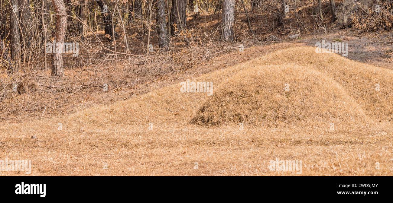 Burial mound in a woodland area on the side of a mountain in South