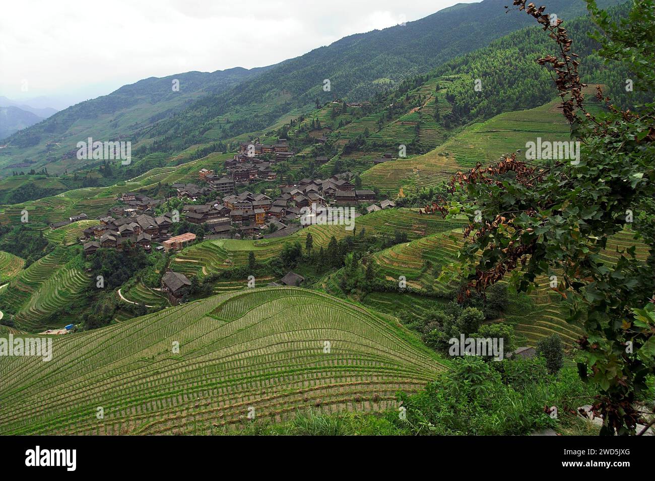 Exuberante ladera hi-res stock photography and images - Alamy