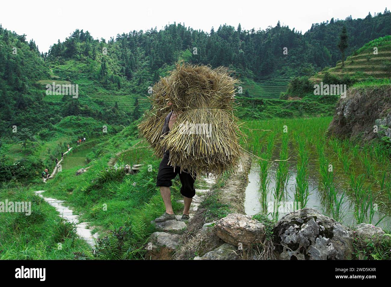Piedra de arroz hi-res stock photography and images - Alamy