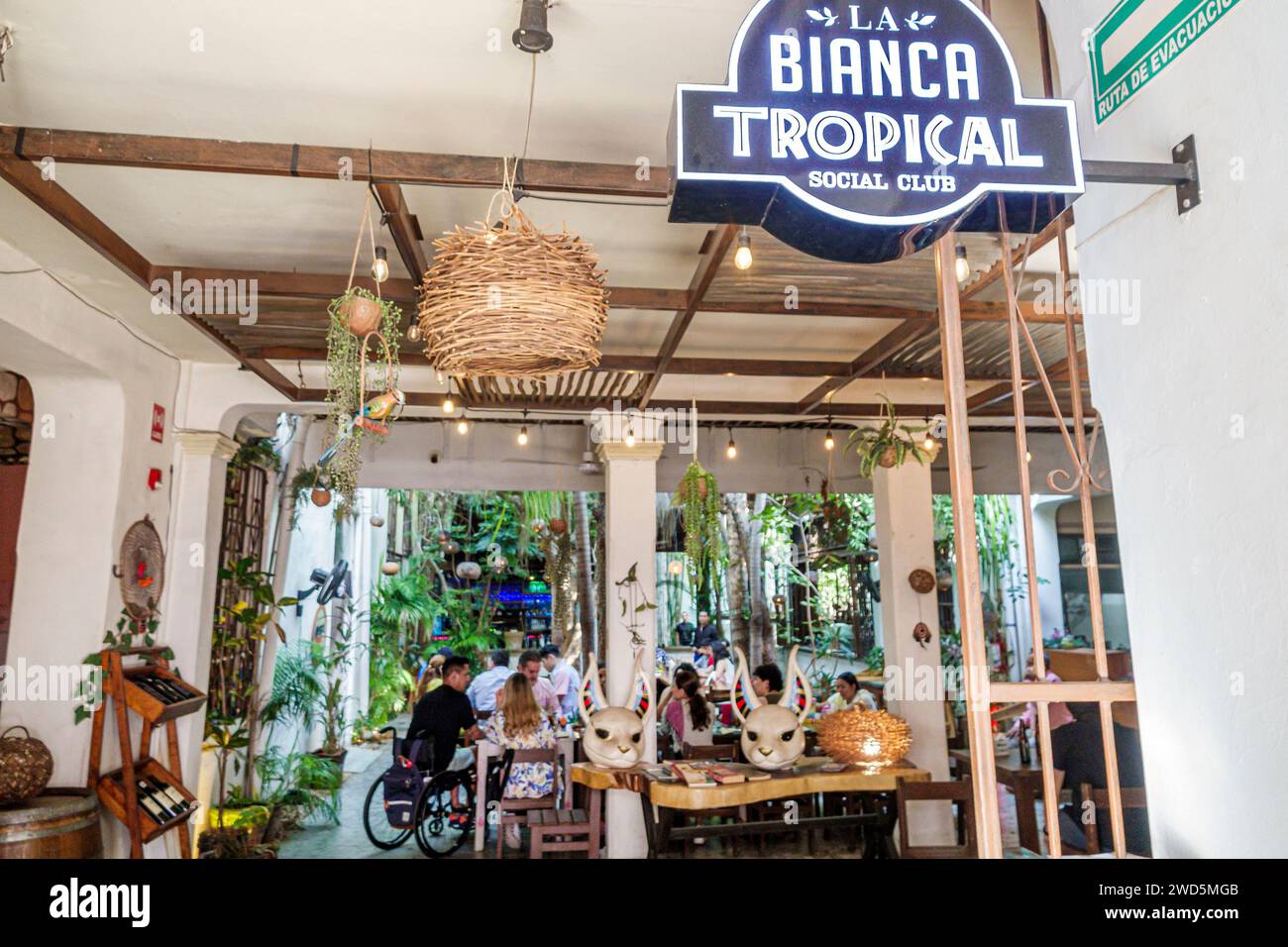 Merida Mexico,centro historico central historic district,La Bianca Tropical Social Club,inside interior,two 2 languages multiple,bilingual multilingua Stock Photo