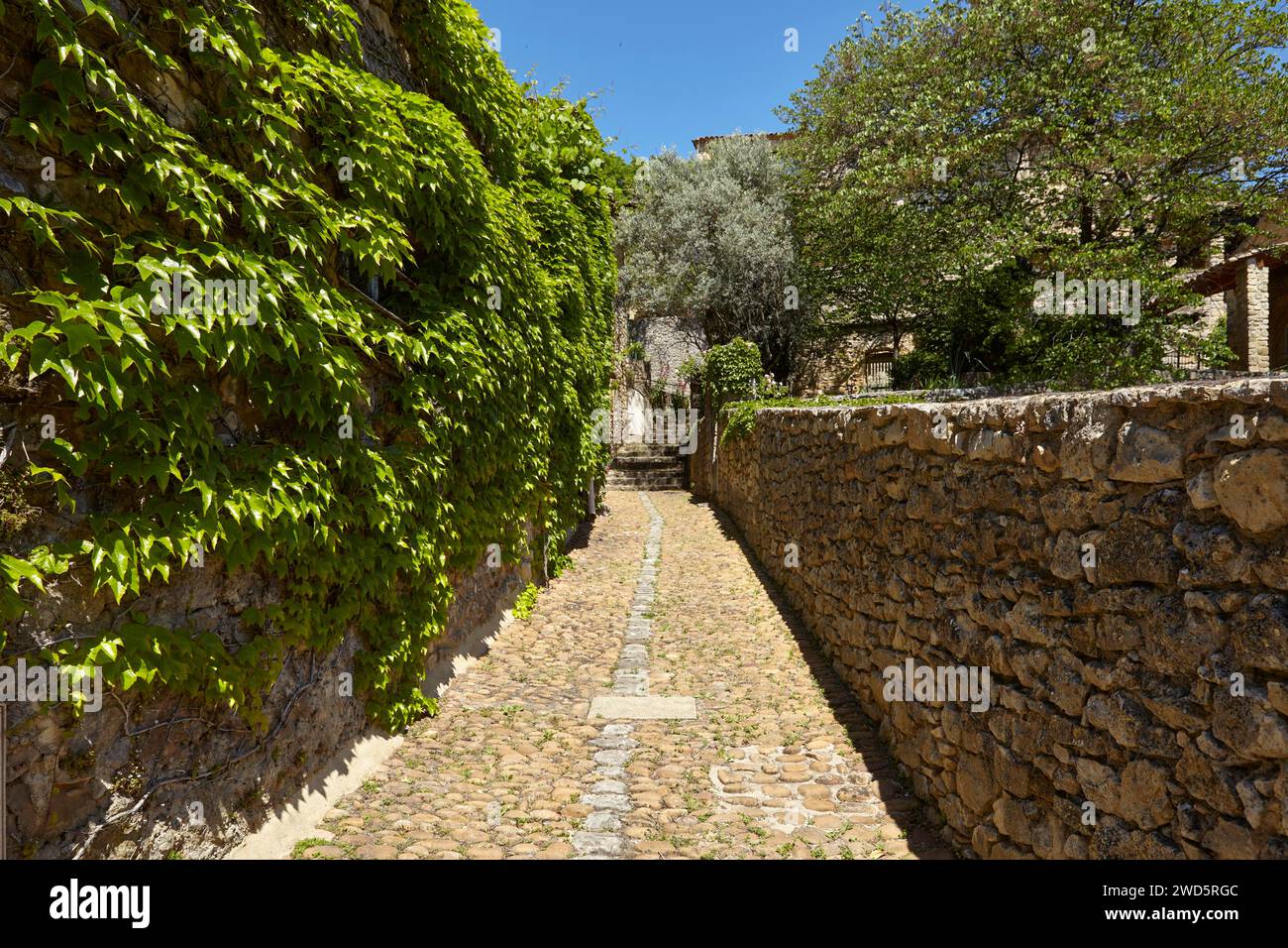 Path with steps and walls with tricuspid vine (Parthenocissus tricuspidata) in La Roque-sur-Ceze, Gard department, Occitanie region, France Stock Photo