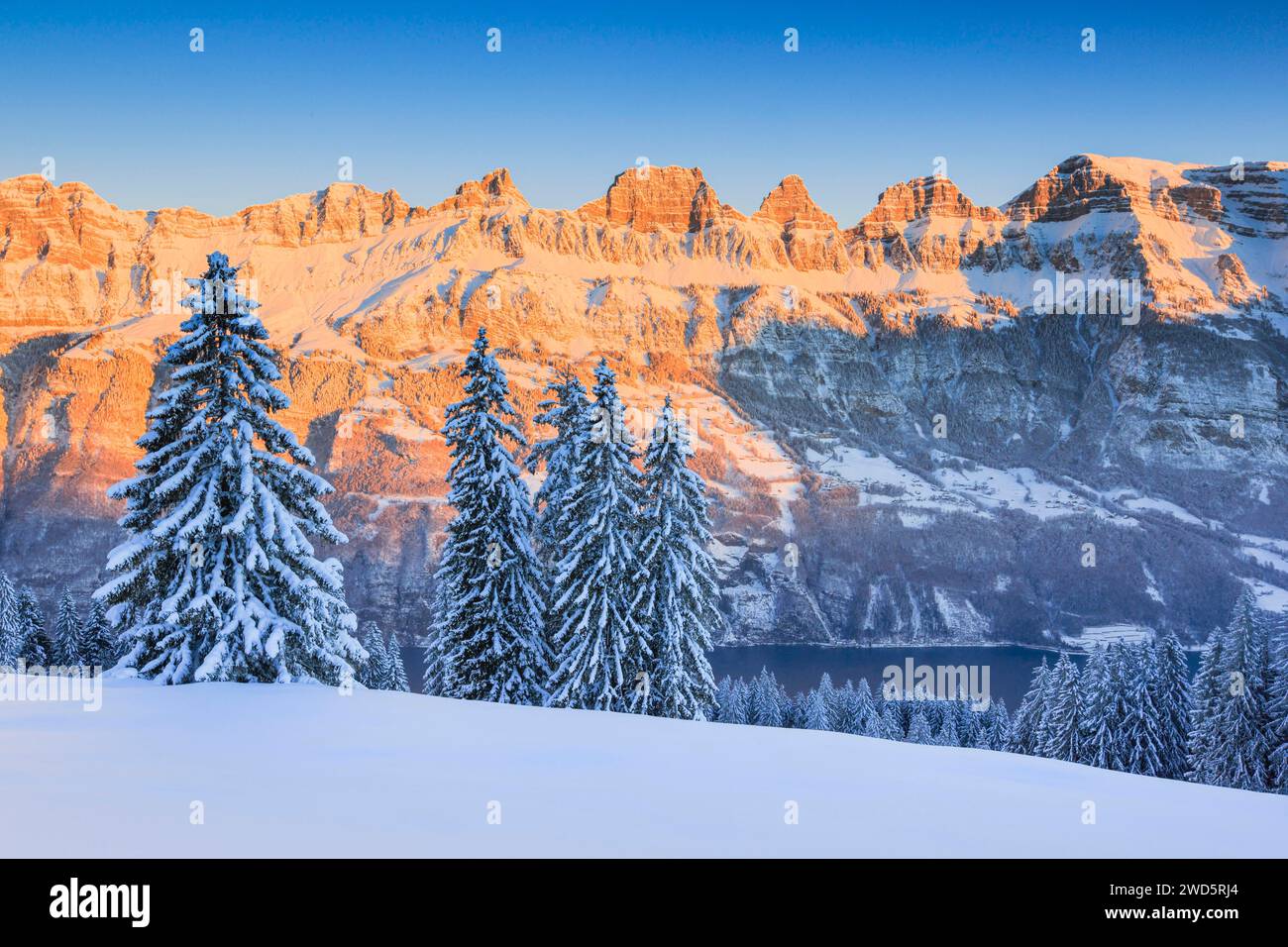 Blue st gallen hi-res stock photography and images - Alamy
