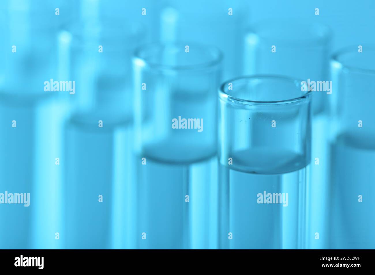 Laboratory analysis. Many glass test tubes on light blue background ...