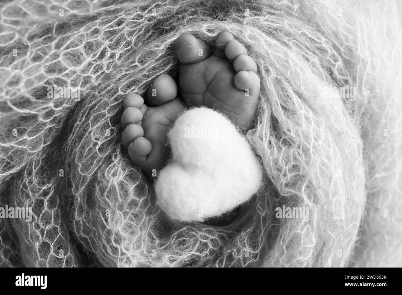 The tiny foot of a newborn baby. Soft feet of a new born in a wool