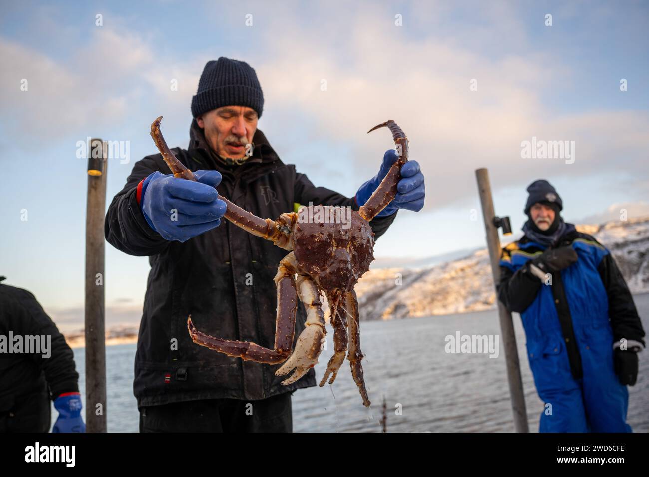 Kirkenes, Norway. 13th Jan, 2024. A fisherman shows a specimen of king