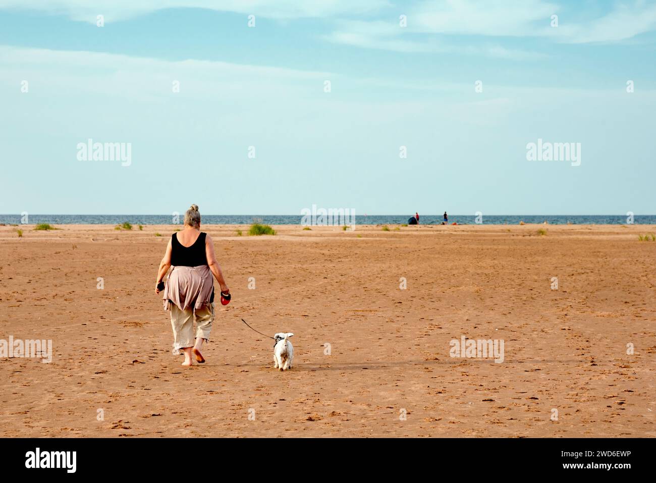 Woman walking her dog on the beach, Prince Edward Island, Canada. Stock Photo