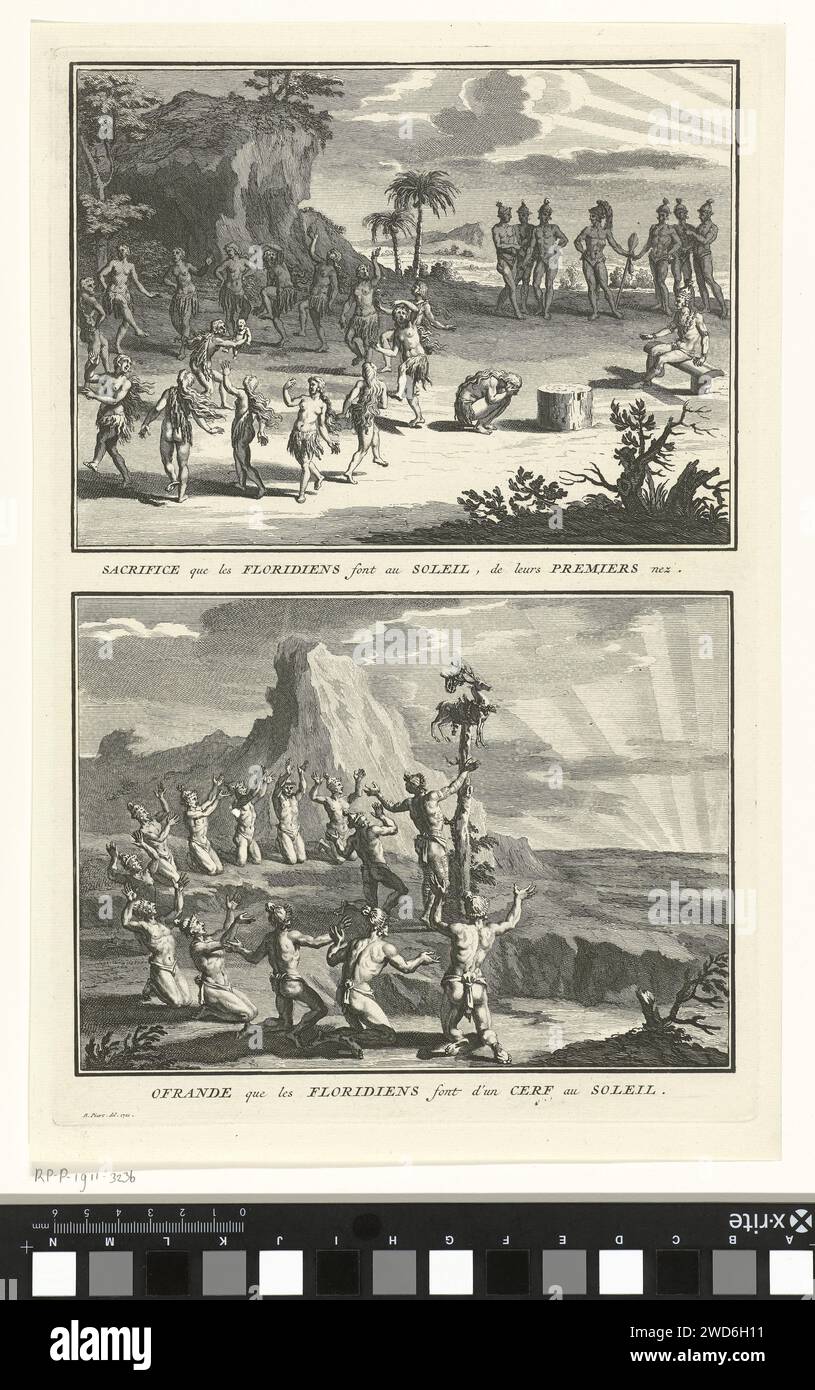 Cervus elaphus barbarus — Wikipédia, image size:815x1390