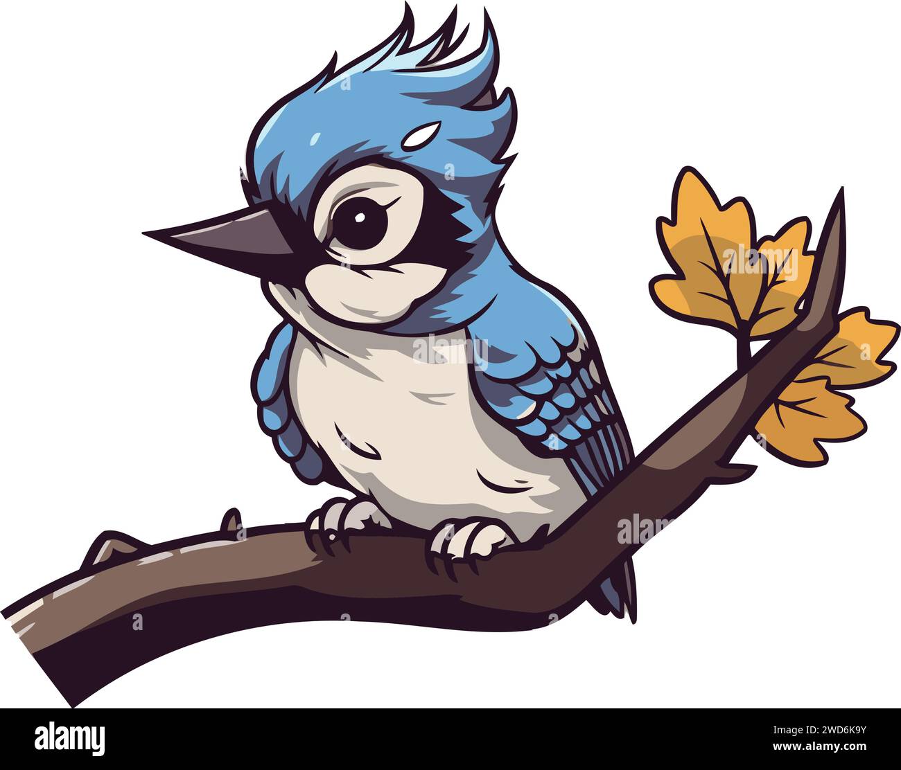 Blue jay bird sitting on a branch with leaves. Vector illustration