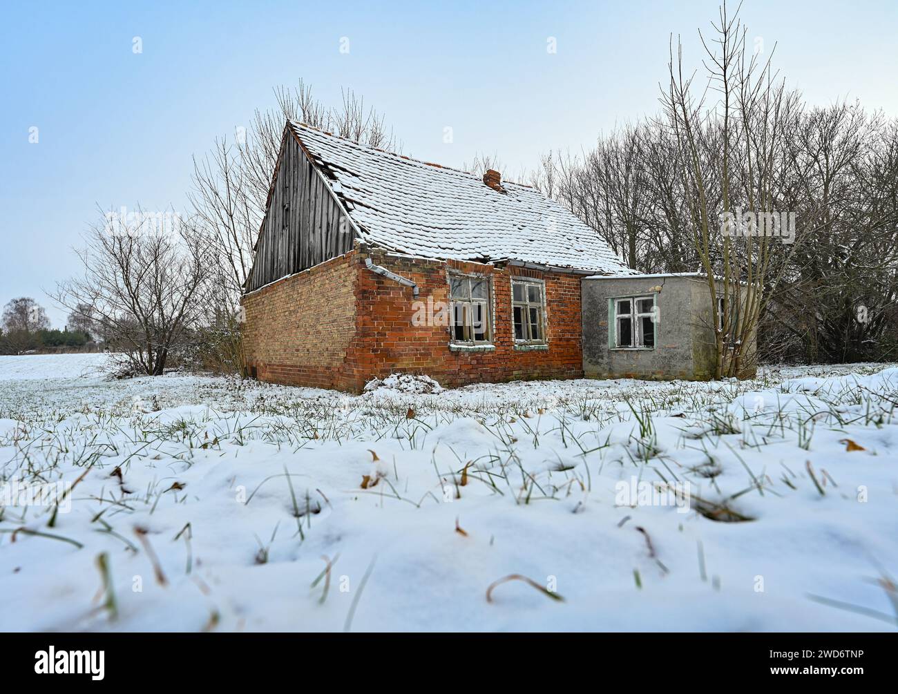 Letschin, Germany. 18th Jan, 2024. An old and partially collapsed house stands in the wintry Oderbruch. The Oderbruch was created after draining almost 270 years ago and was settled with colonists by Prussian King Frederick II. It is preserved as a habitat with an ingenious water system. Credit: Patrick Pleul/dpa/Alamy Live News Stock Photo