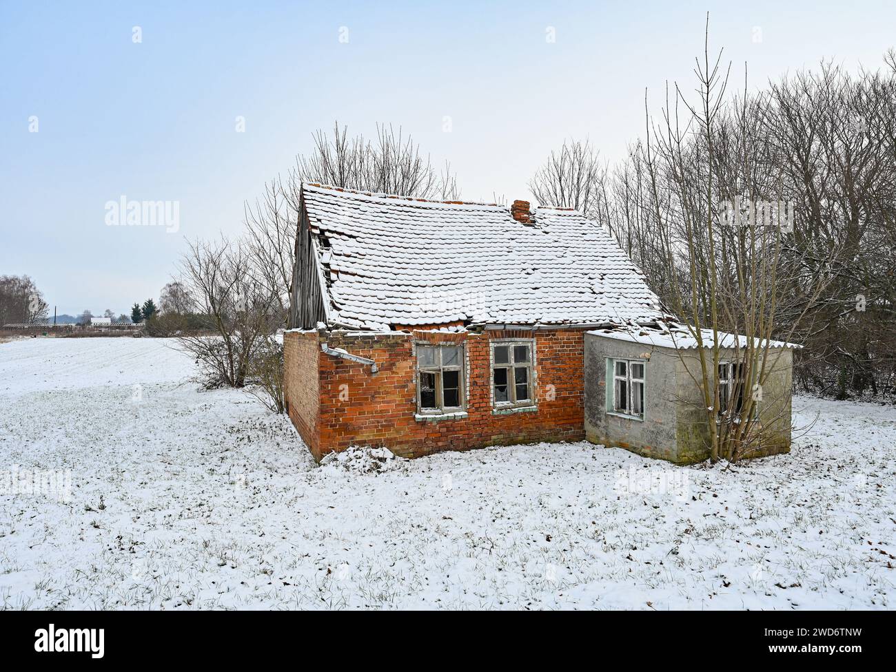 Letschin, Germany. 18th Jan, 2024. An ancient and partially collapsed house stands in the wintry Oderbruch. The Oderbruch was created after draining almost 270 years ago and was settled with colonists by Prussian King Frederick II. It is preserved as a habitat with an ingenious water system. Credit: Patrick Pleul/dpa/Alamy Live News Stock Photo