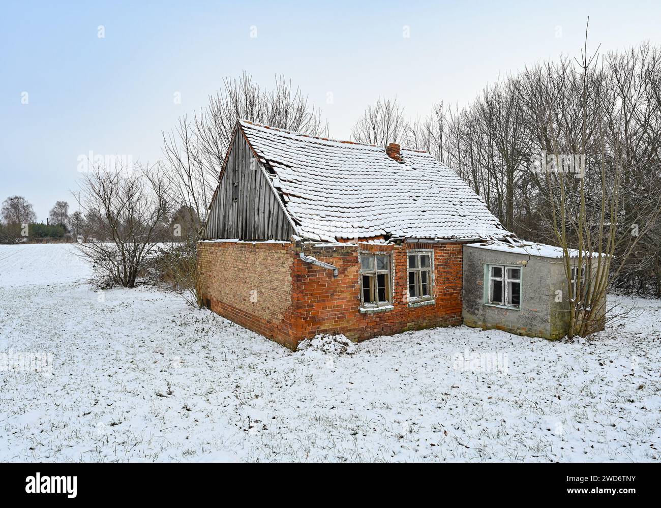 Letschin, Germany. 18th Jan, 2024. An old and partially collapsed house stands in the wintry Oderbruch. The Oderbruch was created after draining almost 270 years ago and was settled with colonists by Prussian King Frederick II. It is preserved as a habitat with an ingenious water system. Credit: Patrick Pleul/dpa/Alamy Live News Stock Photo