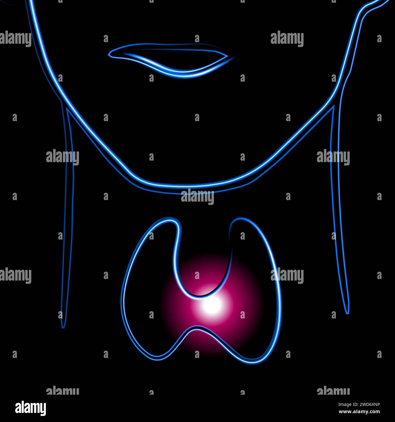 Vector isolated illustration of thyroid gland with neon effect