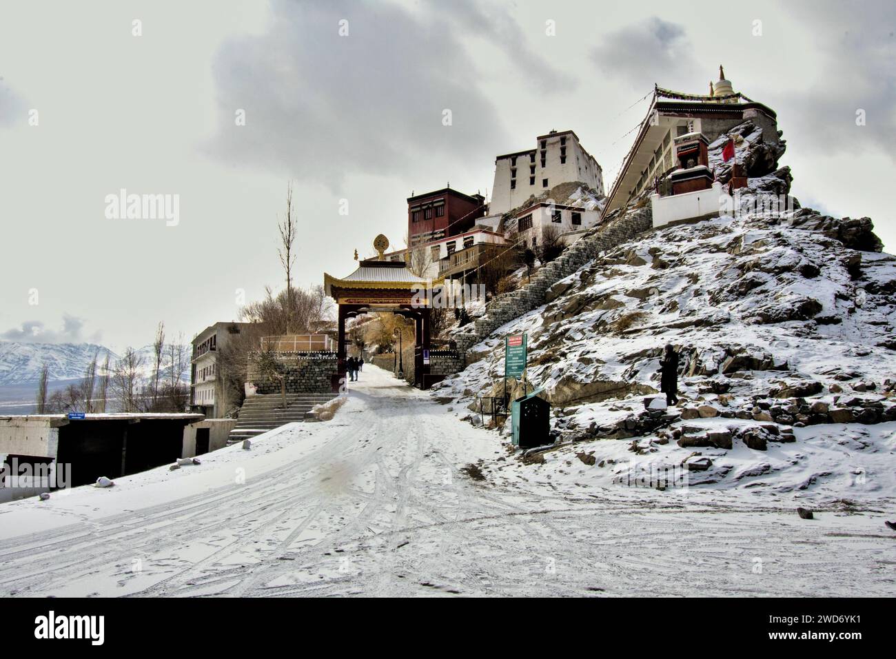 Pethup Gompa, Spituk Buddhist Monastery, Leh, Ladakh, Kashmir, India, Asia Stock Photo