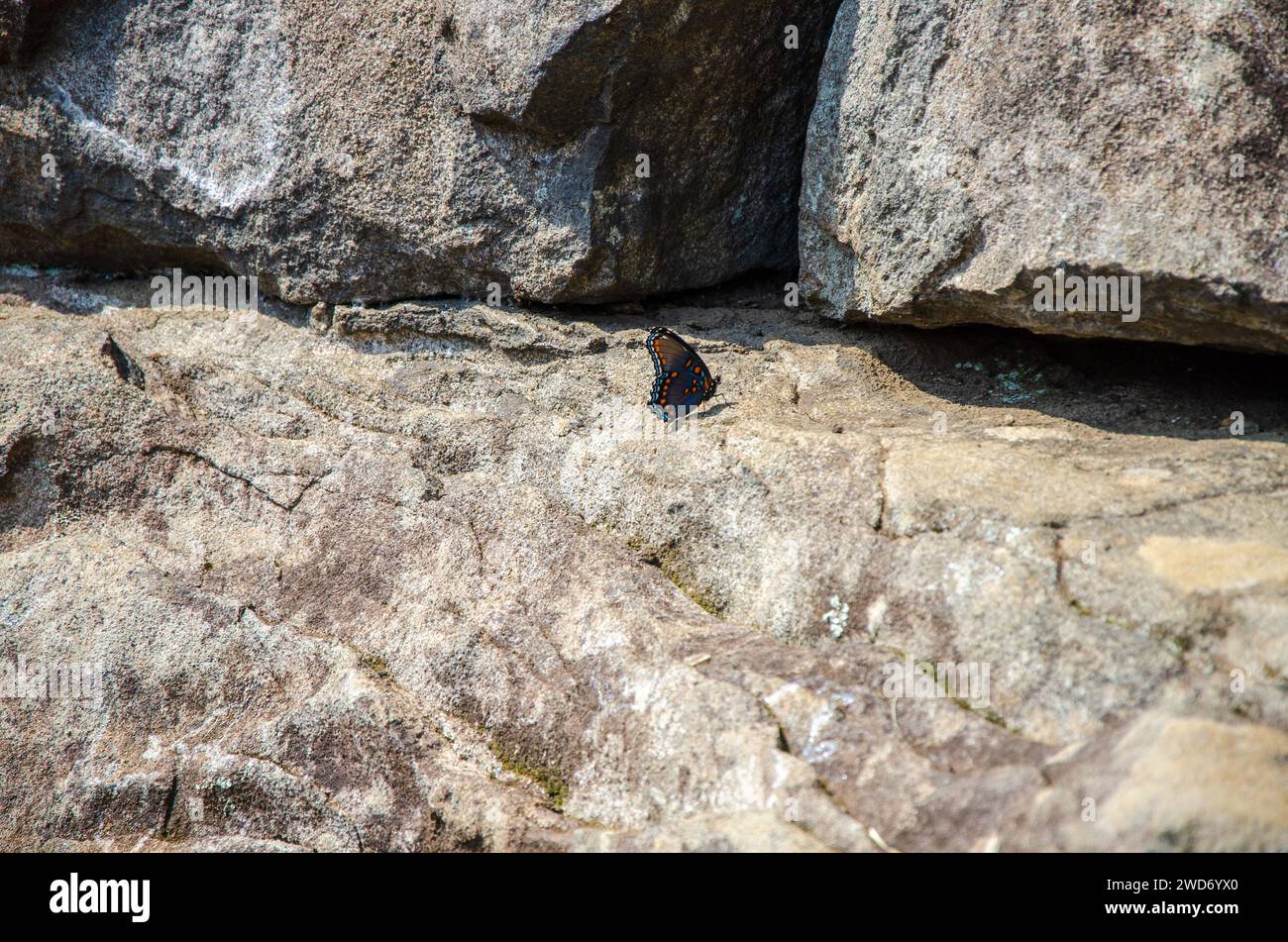 The Devil's Den at Gettysburg National Military Park, American Civil ...