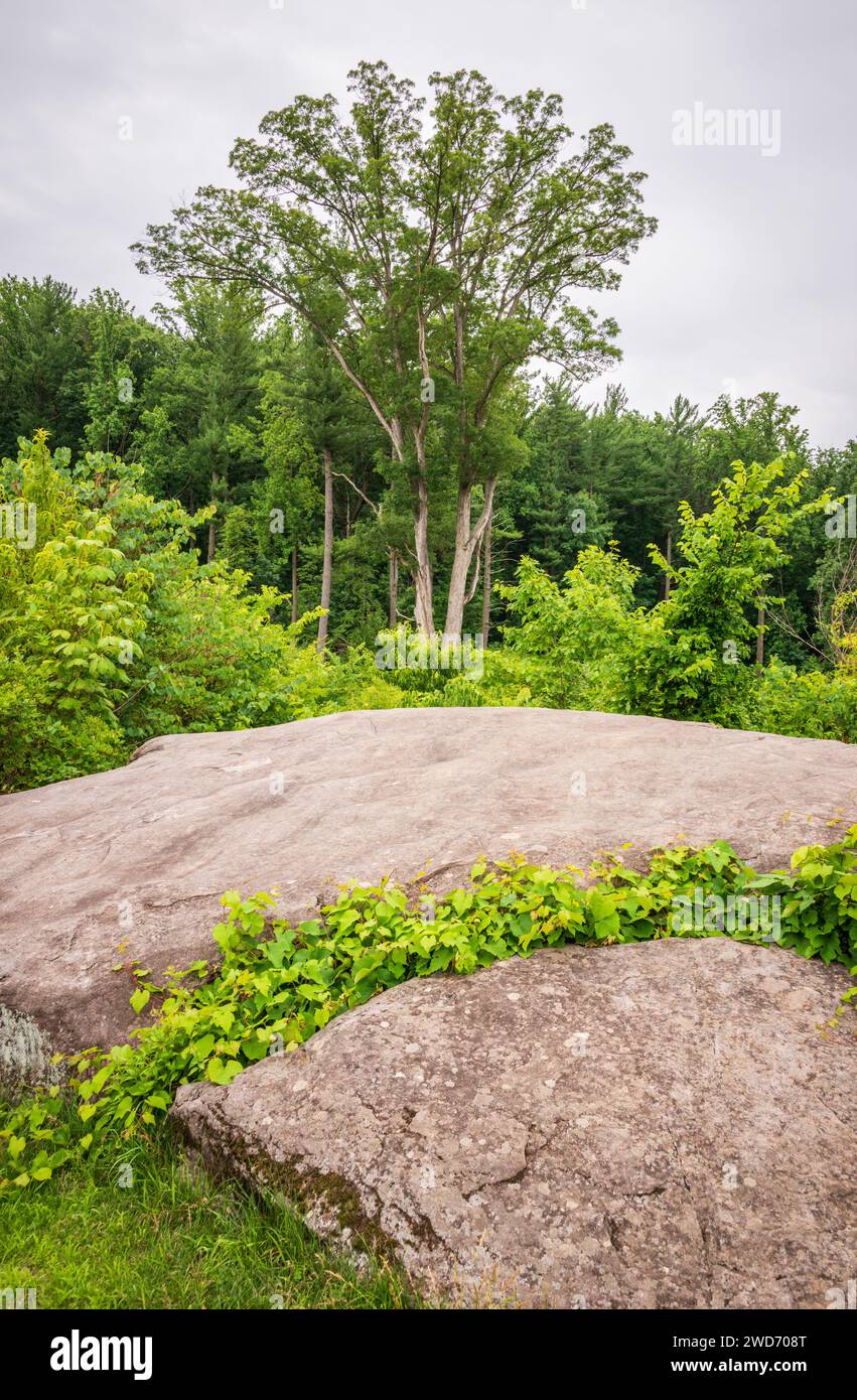 The Devil's Den at Gettysburg National Military Park, American Civil ...