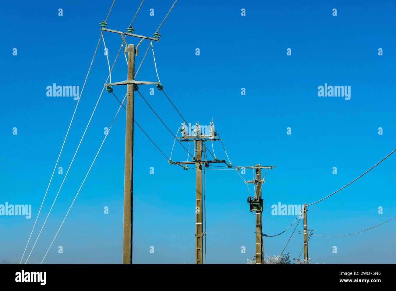 The power lines against a clear blue sky in a rural landscape Stock Photo