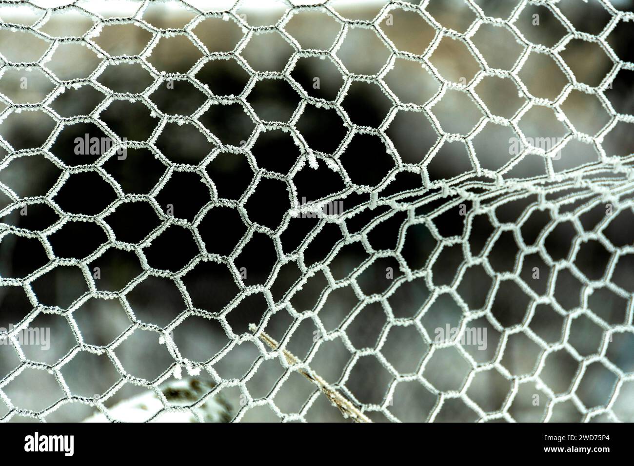 Frost covered steel hi-res stock photography and images - Alamy