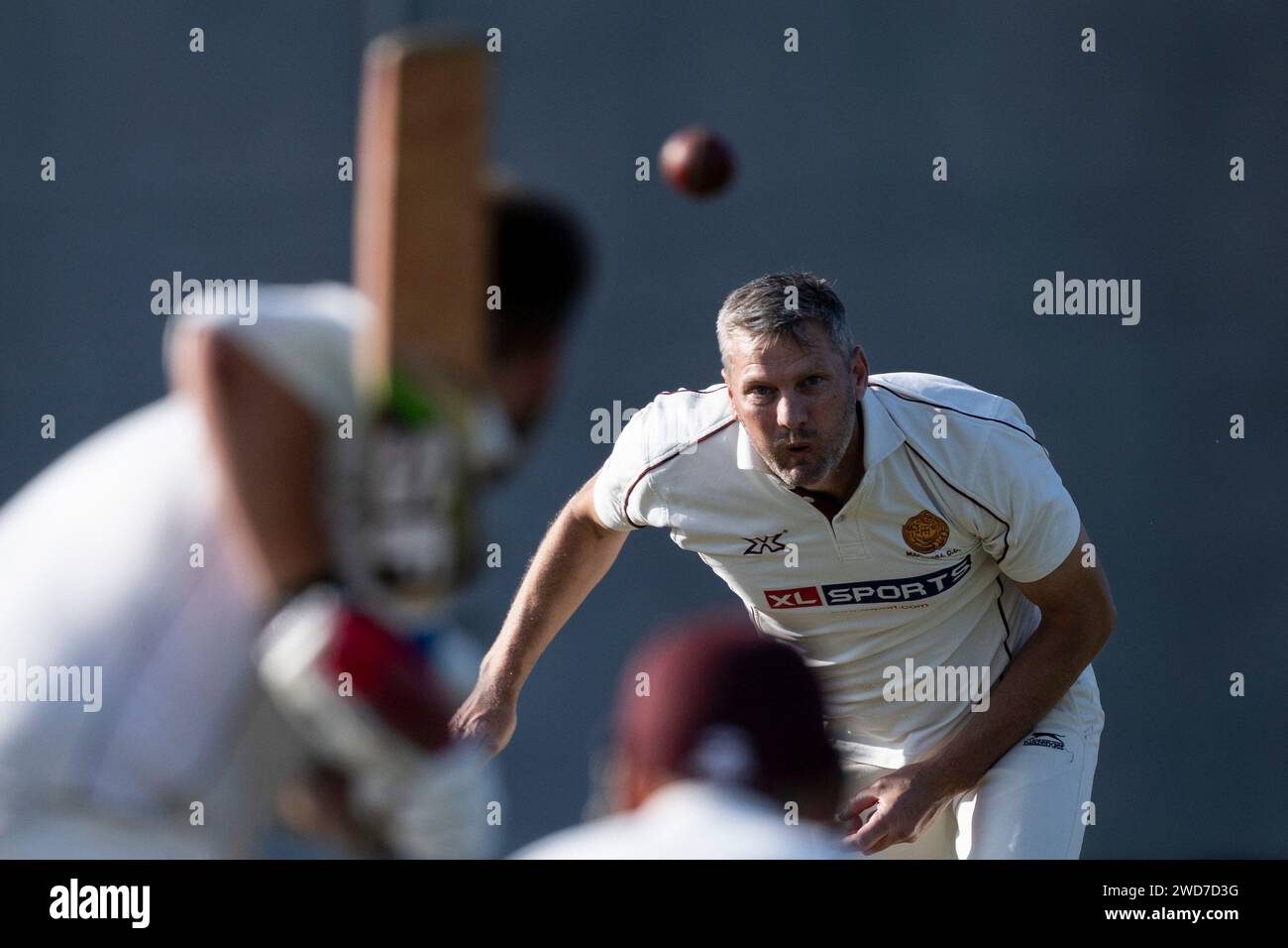 Cricket, bowler in action. Stock Photo