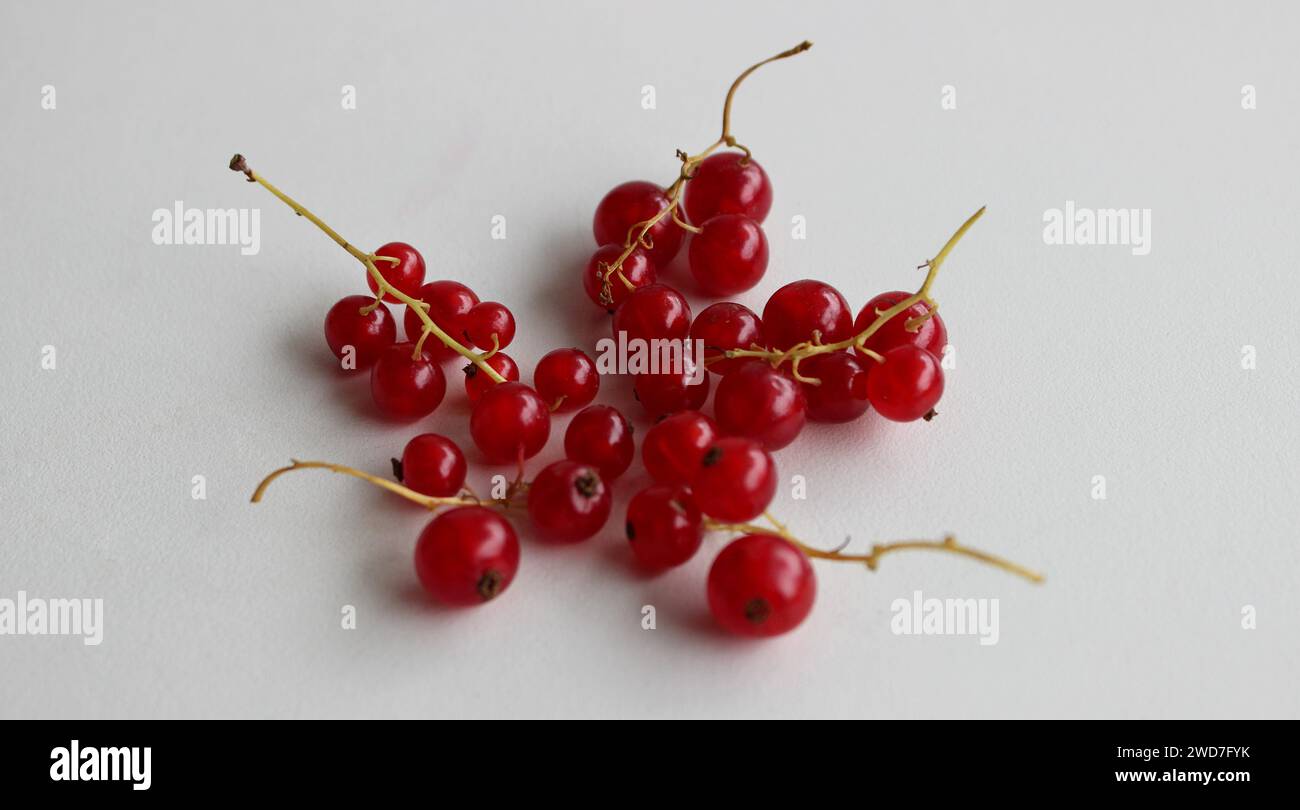 Bunches Of Juicy Redcurrants Isolated On White Surface Stock Photo Stock Photo