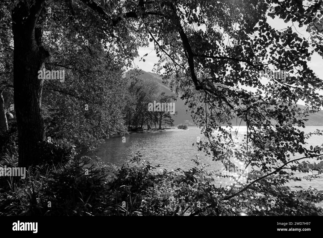Lake mountains view in Black and White Stock Photos & Images - Alamy