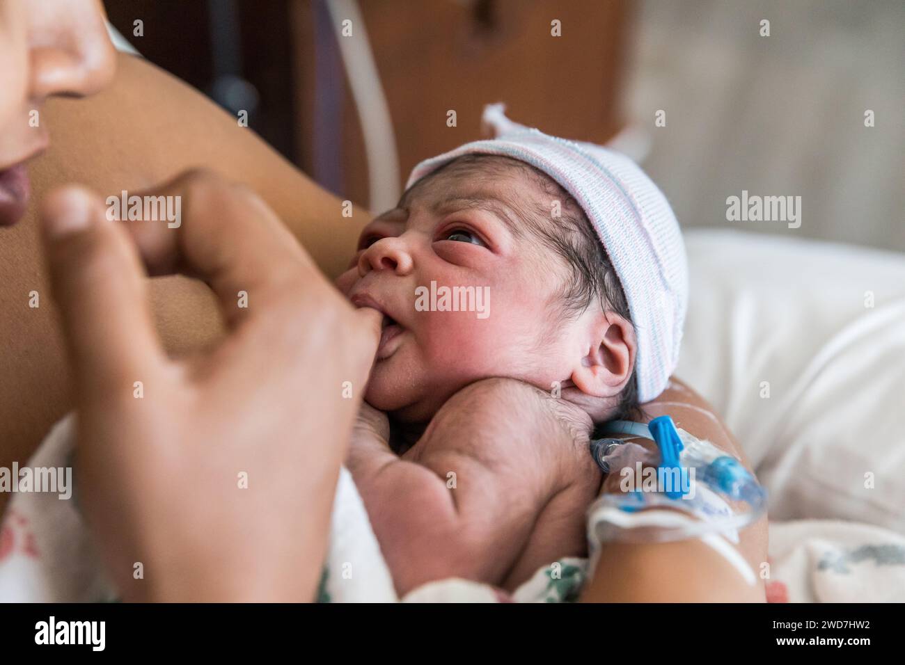 Multiracial newborn baby sucks on mom's finger after being born Stock Photo
