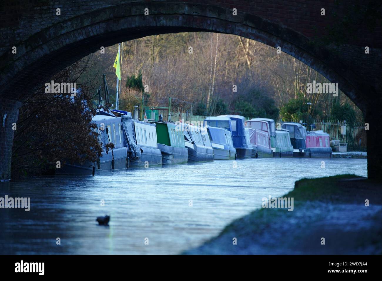 Canal boats moored on the Bridgewater Canal in Warrington which has ...