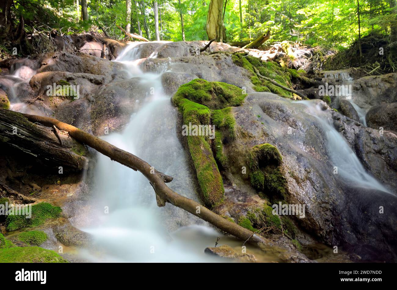 A serene forest oasis with a charming waterfall Stock Photo