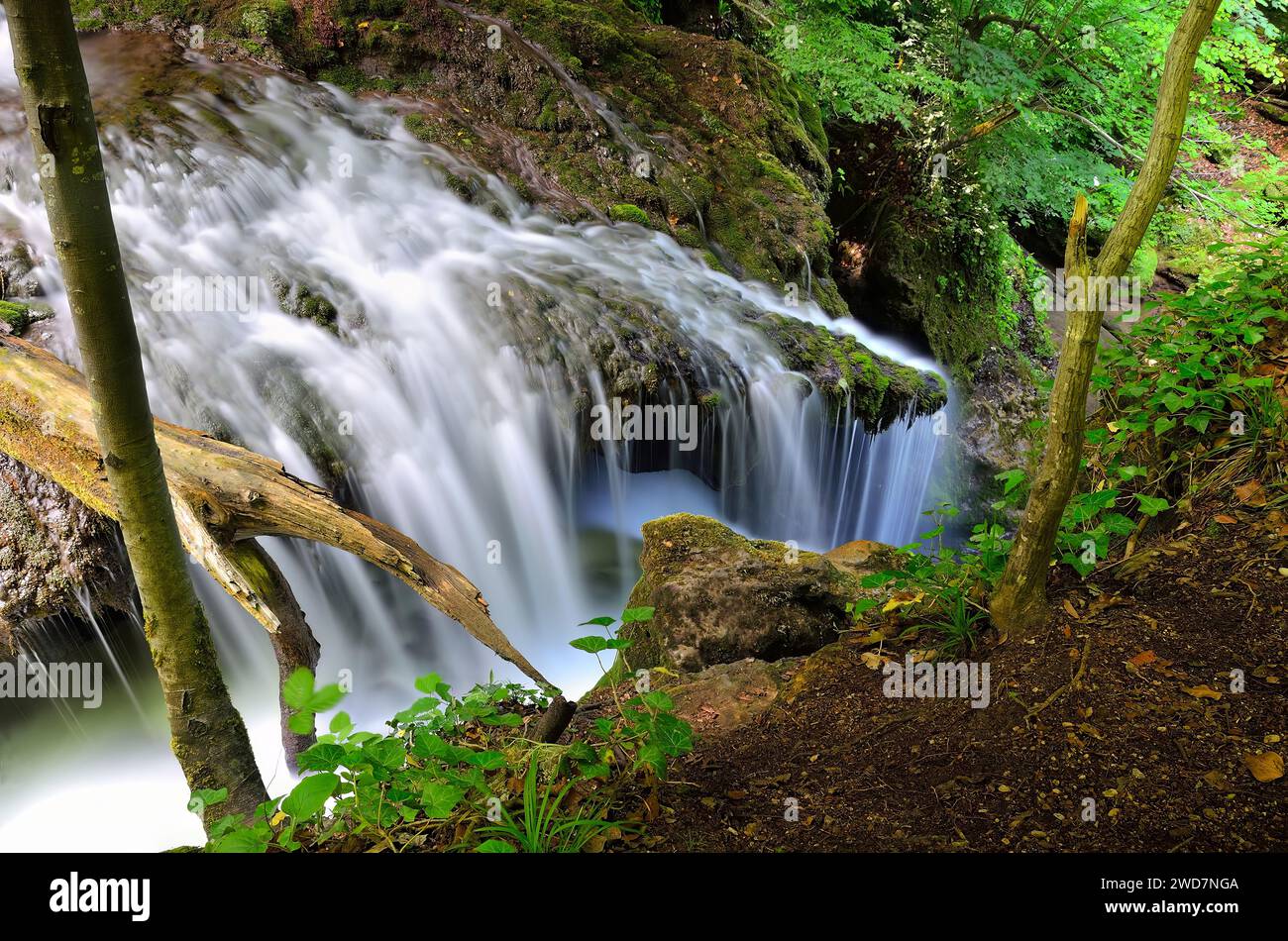 Water cascades into a lush forest creek, flanked by imposing boulders Stock Photo