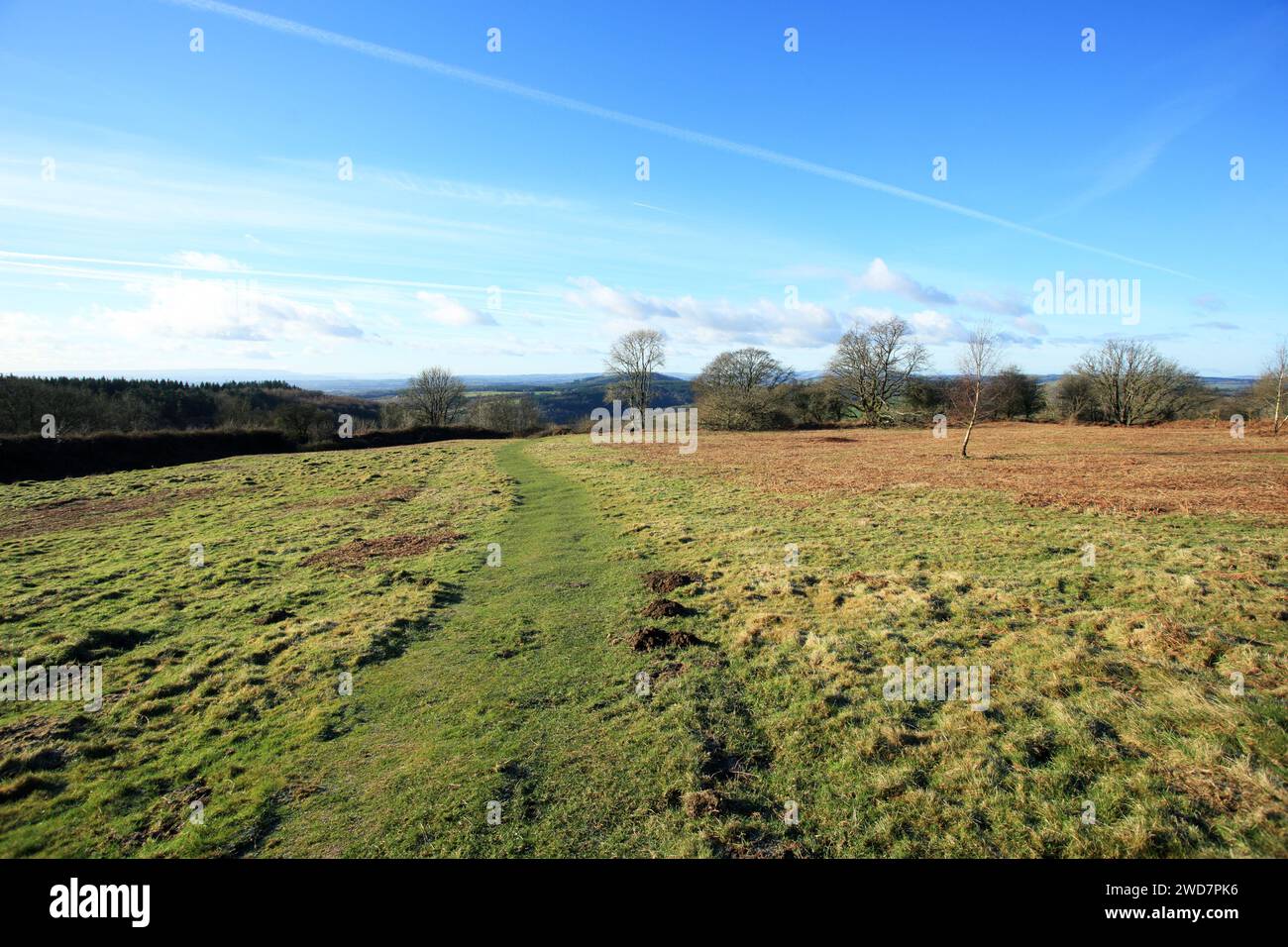 Path crossing Croft Ambrey iron age hillfort near Leominster, Herefordshire, UK. Stock Photo