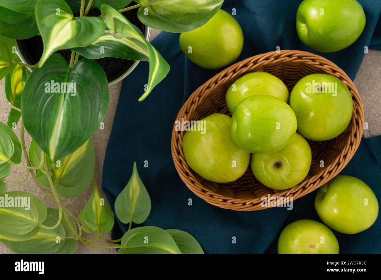 Fresh juicy delicious Taiwanese Milk Indian Jujube fruit in a basket on gray table background. Stock Photo