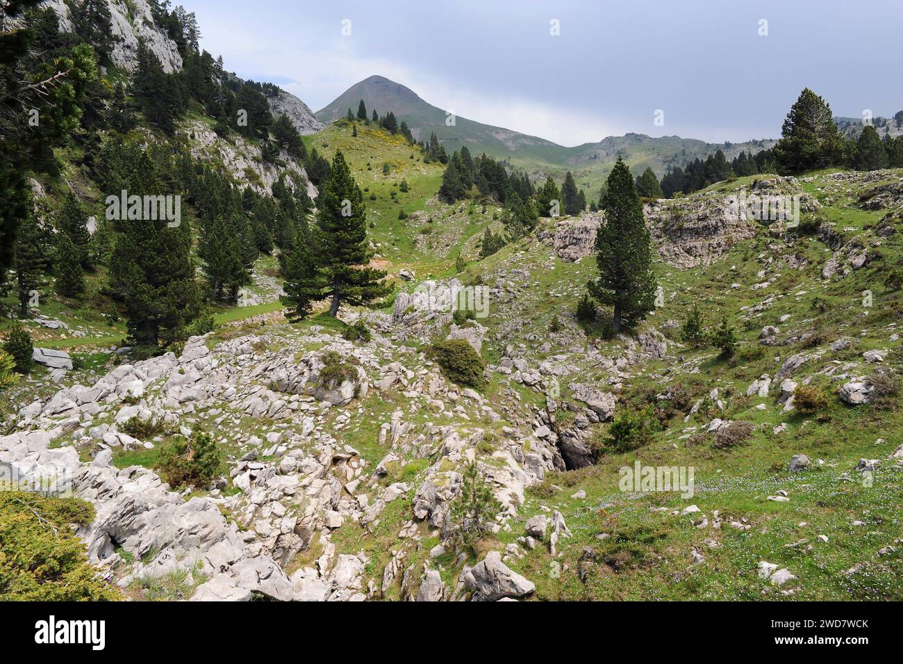 Larra-Belagua massif Natural Reserve. Navarra, Spain. Stock Photo