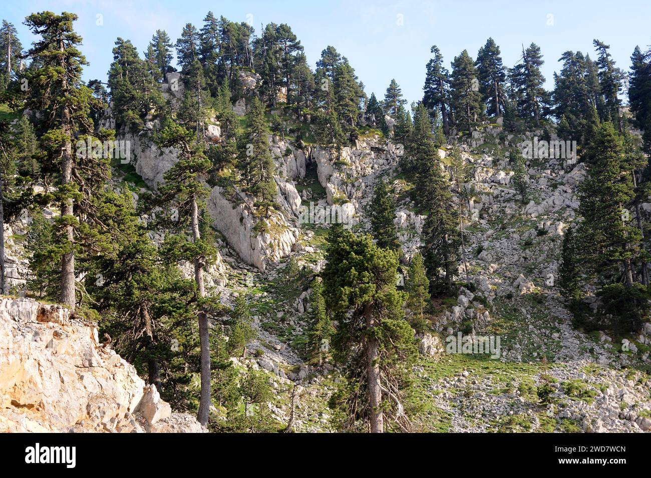 Larra-Belagua massif Natural Reserve. Navarra, Spain. Stock Photo