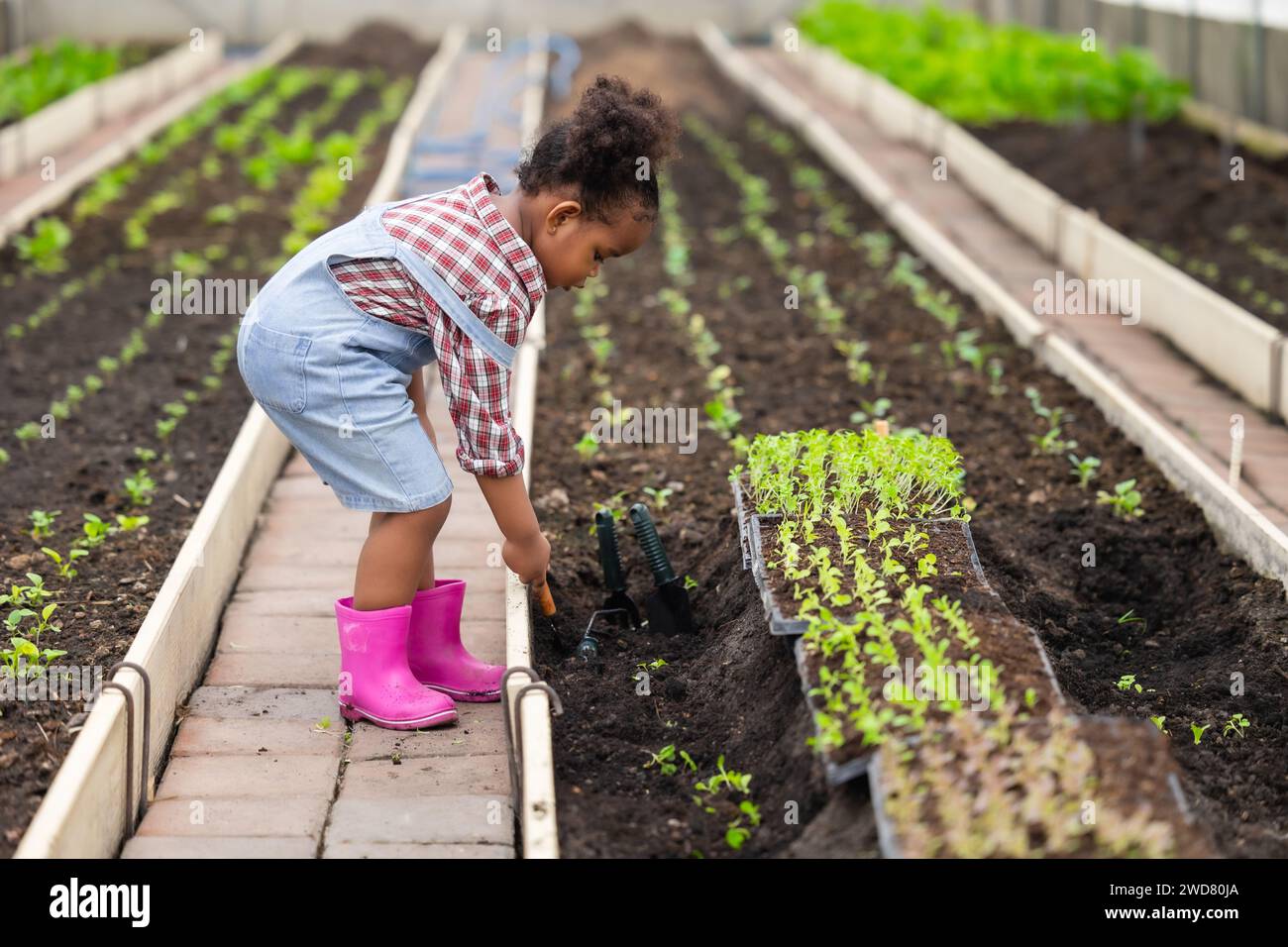 African black child playing planting the green tree gardening in agriculture farm. Children love nature concept. Stock Photo