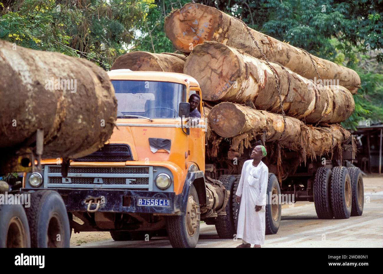 Ivory Coast, Abidjan; Truck transporting hardwood logs to the harbour for export. Stock Photo